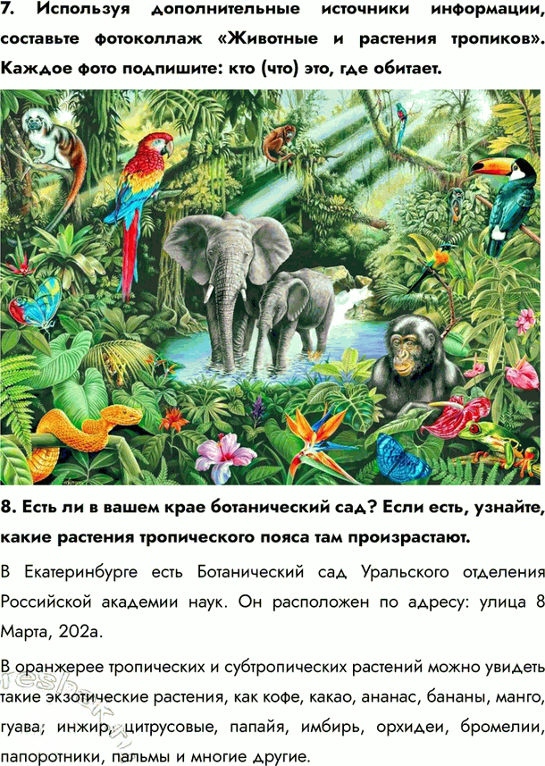 Иллюстрация к решению «Параграф 21 ГДЗ Летягин 6 класс (География)», 4